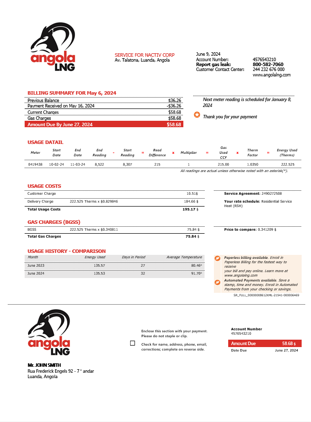Angola LNG proof of address business utility bill template in Word and PDF format